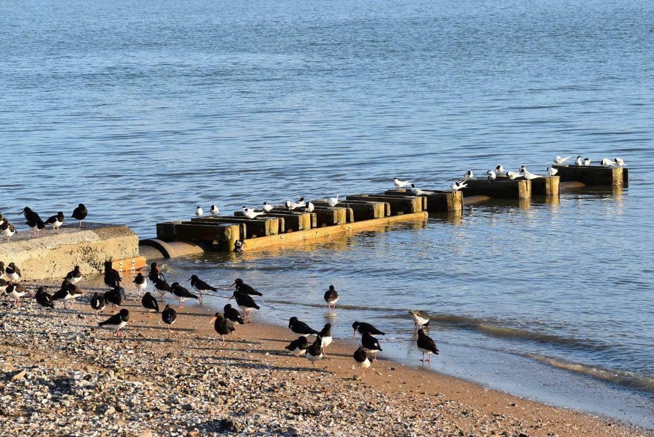 Coastal Motor Lodge Thames Kültér fotó